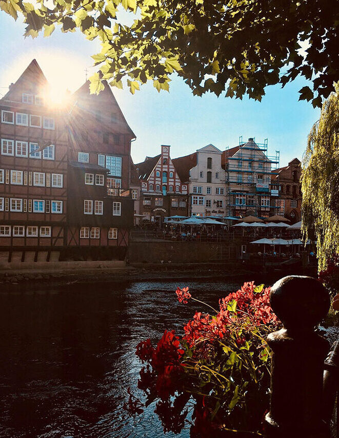 Sonniges Bild vom Stint in Lüneburg: Blick auf das Wasser mit historischen Häusern und blühenden roten Geranien im Vordergrund